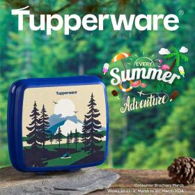 Tupperware - Weeks 10-13